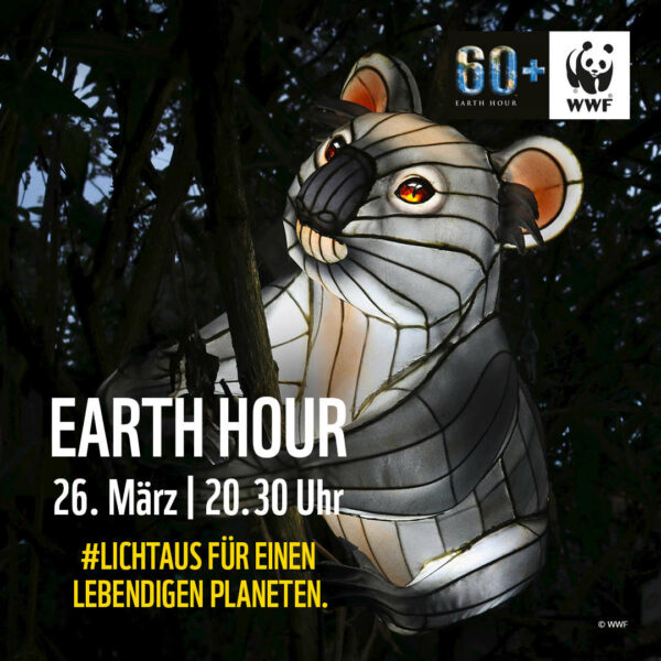 Plakat Earth Hour Motiv Koala